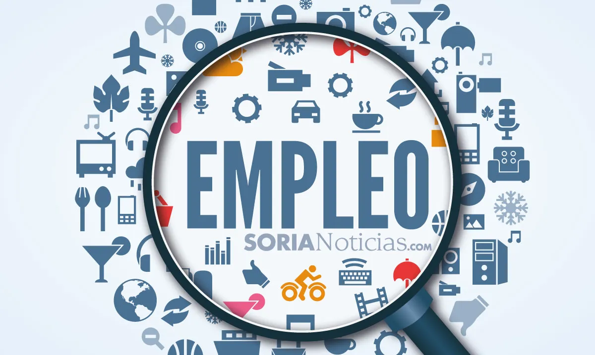 Se necesita montador/repartidor de muebles en Soria