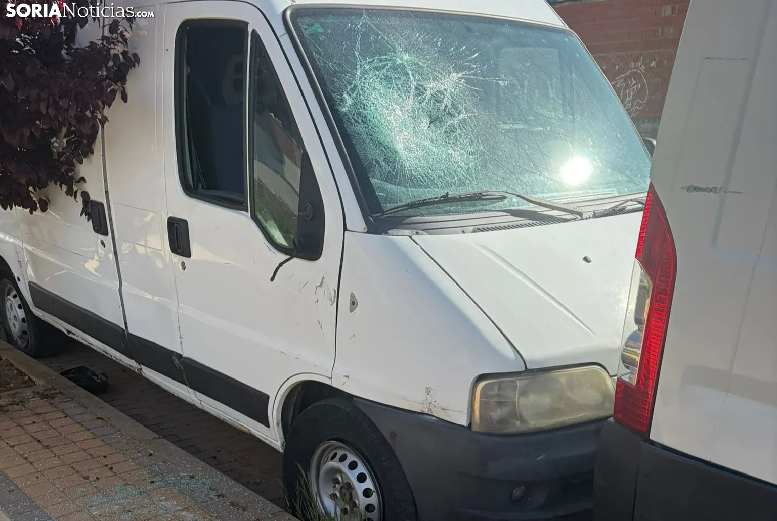 Los Royales convertido en un foco de vandalismo por el abandono de vehículos decomisados