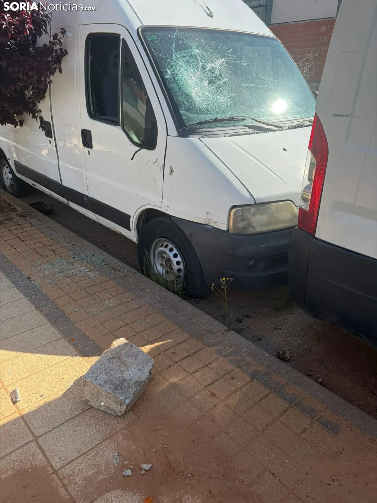Foto 2 - Los Royales convertido en un "foco de vandalismo" por el abandono de veh&iacute;culos decomisados