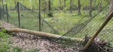 Una imagen de las orillas del Duero en la capital. /PP