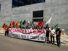 Una imagen de la manifestación hoy en Valladolid. /ASAJA Soria