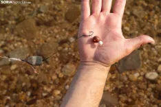 Foto 4 - El arte de la pesca de gigantes sin muerte