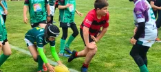 Foto 4 - El Ingenieros de Soria consolida su apuesta por la cantera con un multitudinario torneo de rugby base