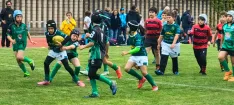 Foto 6 - El Ingenieros de Soria consolida su apuesta por la cantera con un multitudinario torneo de rugby base