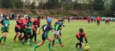 Foto 14 - El Ingenieros de Soria consolida su apuesta por la cantera con un multitudinario torneo de rugby base