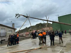 Pingada del Mayo en Espeja de San Marcelino