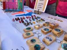 Foto 4 - M&aacute;s de 200 mini-emprendedores sorianos ponen en marcha sus cooperativas en la capital