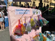 Foto 6 - M&aacute;s de 200 mini-emprendedores sorianos ponen en marcha sus cooperativas en la capital