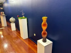 Foto 3 - El talento art&iacute;stico juvenil soriano se exhibe en el Palacio de la Audiencia