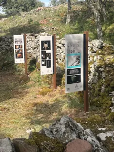 Foto 6 - La mejora de Los Castellares impulsa el turismo patrimonial y la historia de Suellacabras