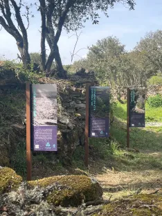 Foto 5 - La mejora de Los Castellares impulsa el turismo patrimonial y la historia de Suellacabras