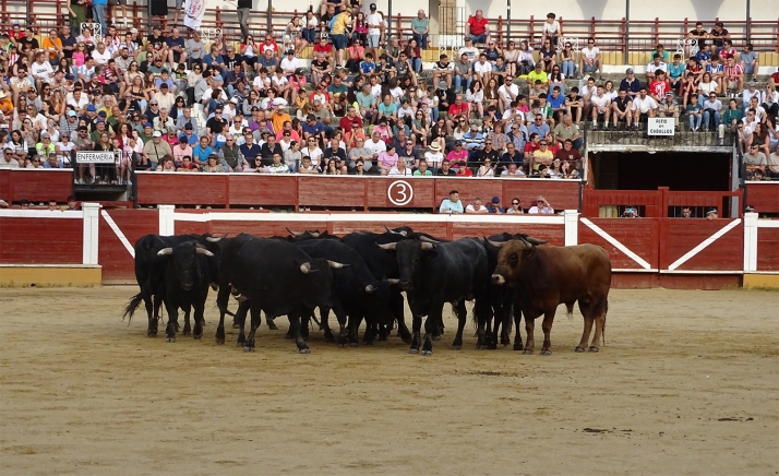 Una imagen de la plaza de toros esta mañana de sábado. /PC