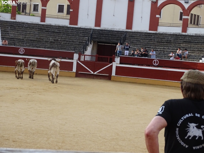 Una imagen de la plaza de toros esta mañana de sábado. /PC