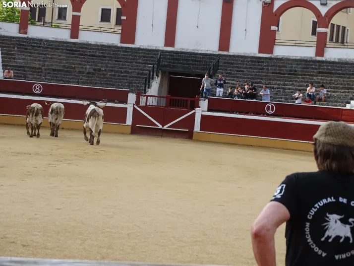 Una imagen de la plaza de toros esta mañana de sábado. /PC