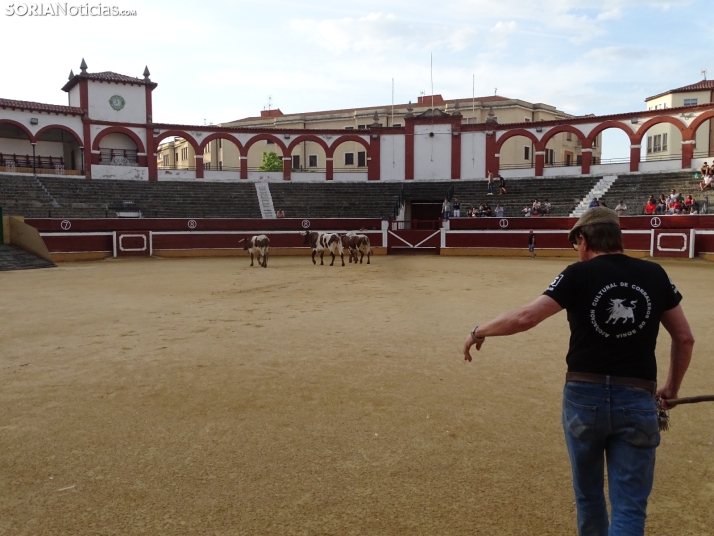 Una imagen de la plaza de toros esta mañana de sábado. /PC
