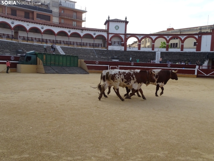 Una imagen de la plaza de toros esta mañana de sábado. /PC