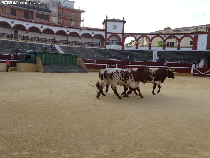 Una imagen de la plaza de toros esta mañana de sábado. /PC