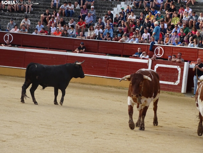 Una imagen de la plaza de toros esta mañana de sábado. /PC