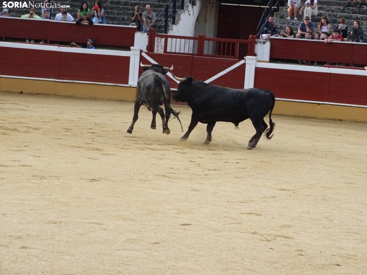 Una imagen de la plaza de toros esta mañana de sábado. /PC
