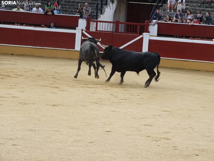 Una imagen de la plaza de toros esta mañana de sábado. /PC