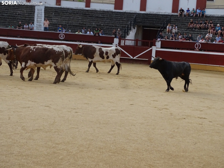 Una imagen de la plaza de toros esta mañana de sábado. /PC