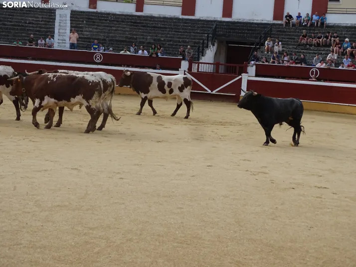 Una imagen de la plaza de toros esta mañana de sábado. /PC