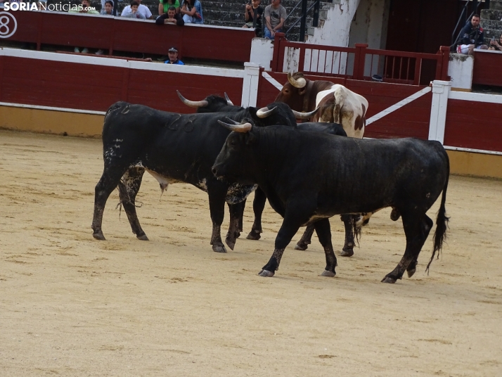 Una imagen de la plaza de toros esta mañana de sábado. /PC