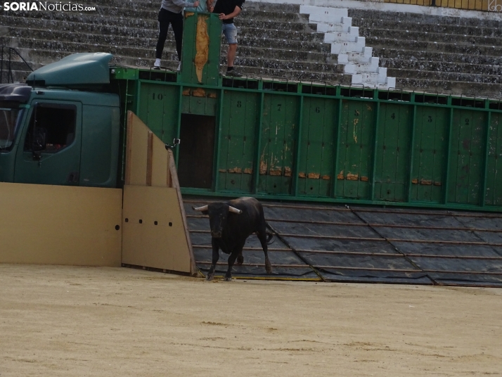 Una imagen de la plaza de toros esta mañana de sábado. /PC