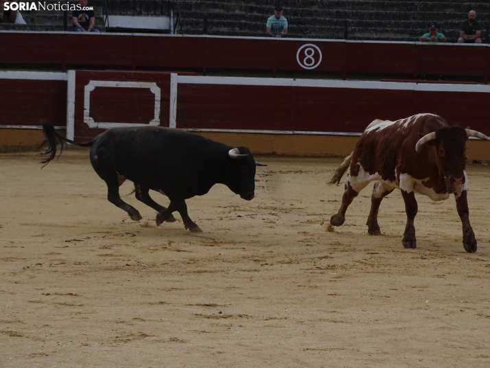 Una imagen de la plaza de toros esta mañana de sábado. /PC