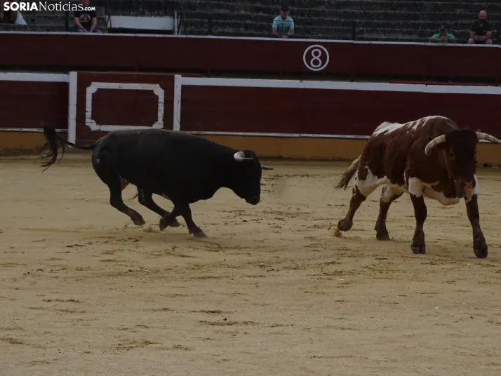 Una imagen de la plaza de toros esta mañana de sábado. /PC