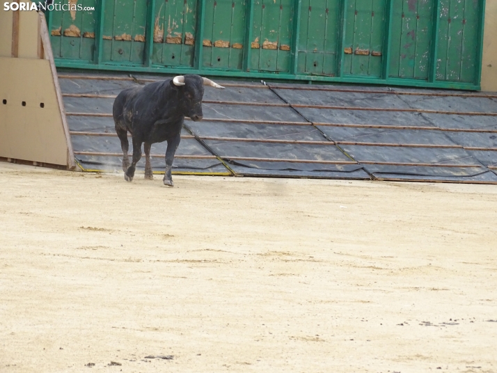 Una imagen de la plaza de toros esta mañana de sábado. /PC