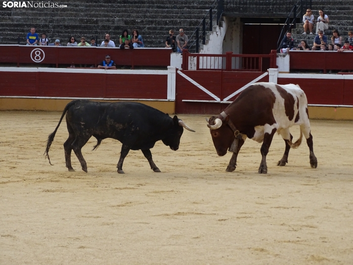 Una imagen de la plaza de toros esta mañana de sábado. /PC