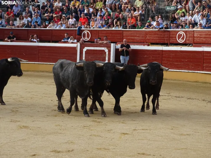 Una imagen de la plaza de toros esta mañana de sábado. /PC