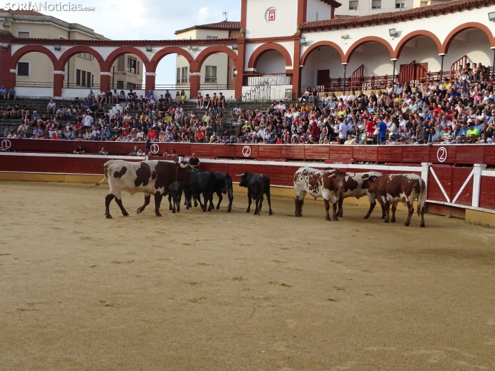 Una imagen de la plaza de toros esta mañana de sábado. /PC