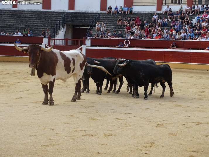 Una imagen de la plaza de toros esta mañana de sábado. /PC