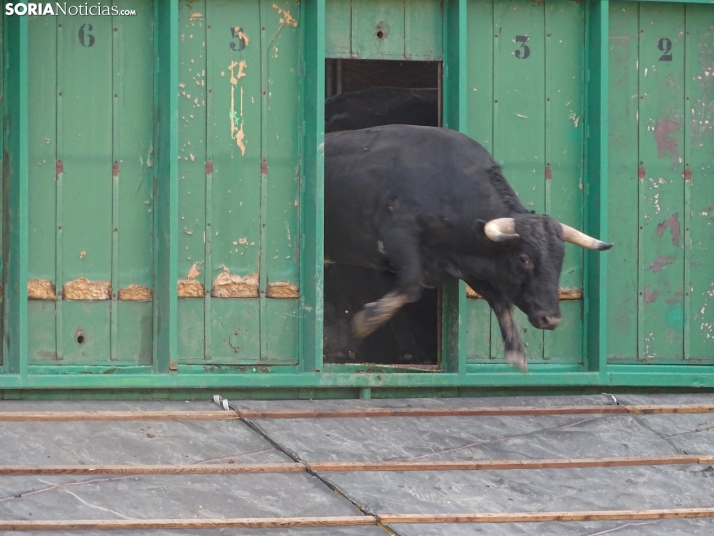 Una imagen de la plaza de toros esta mañana de sábado. /PC