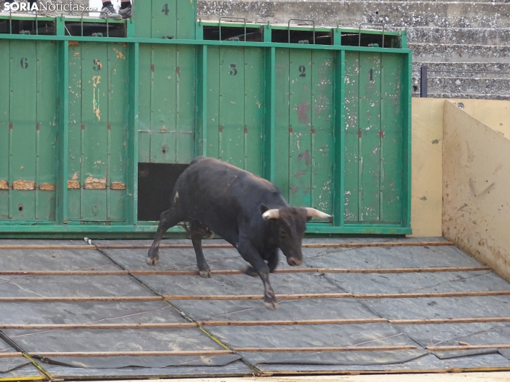 Una imagen de la plaza de toros esta mañana de sábado. /PC