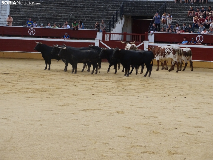 Una imagen de la plaza de toros esta mañana de sábado. /PC