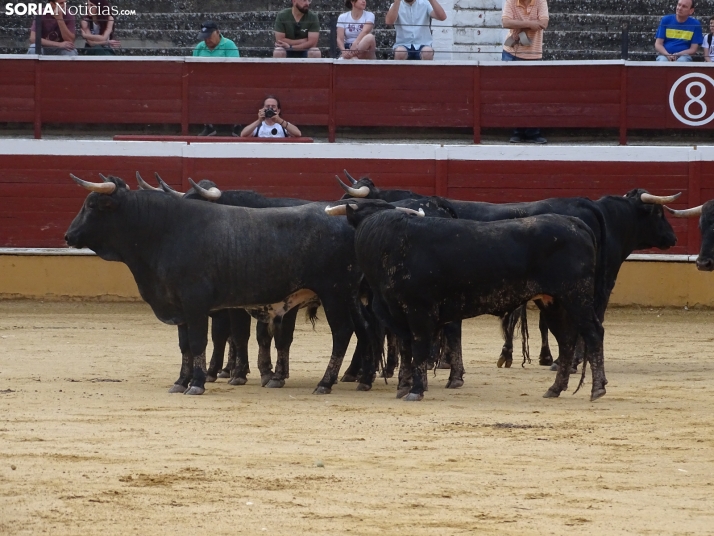 Una imagen de la plaza de toros esta mañana de sábado. /PC