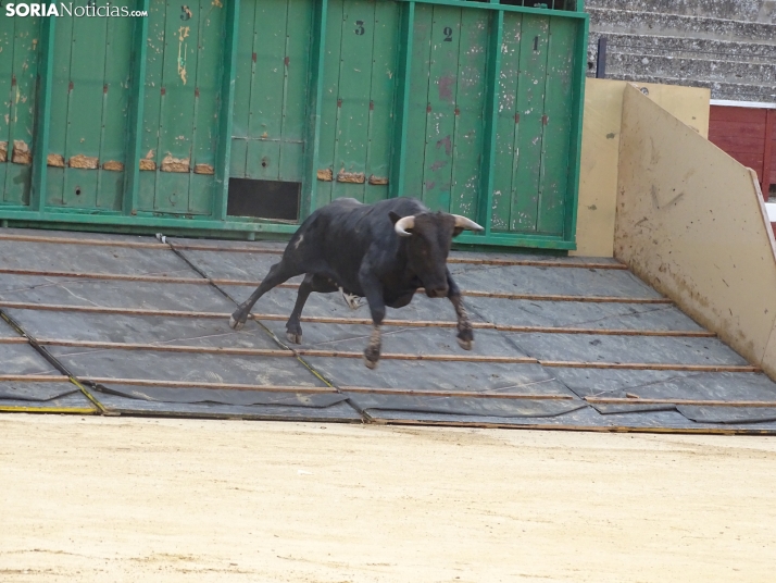 Una imagen de la plaza de toros esta mañana de sábado. /PC