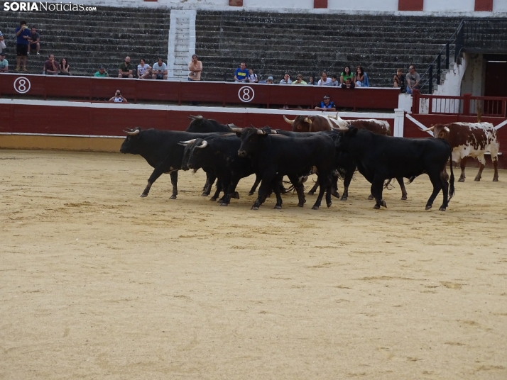 Una imagen de la plaza de toros esta mañana de sábado. /PC