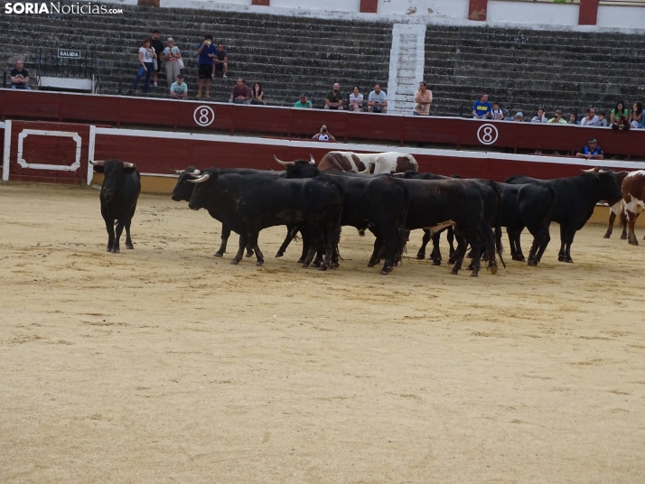 Una imagen de la plaza de toros esta mañana de sábado. /PC