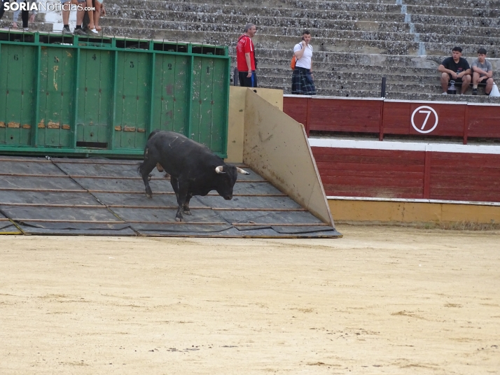 Una imagen de la plaza de toros esta mañana de sábado. /PC