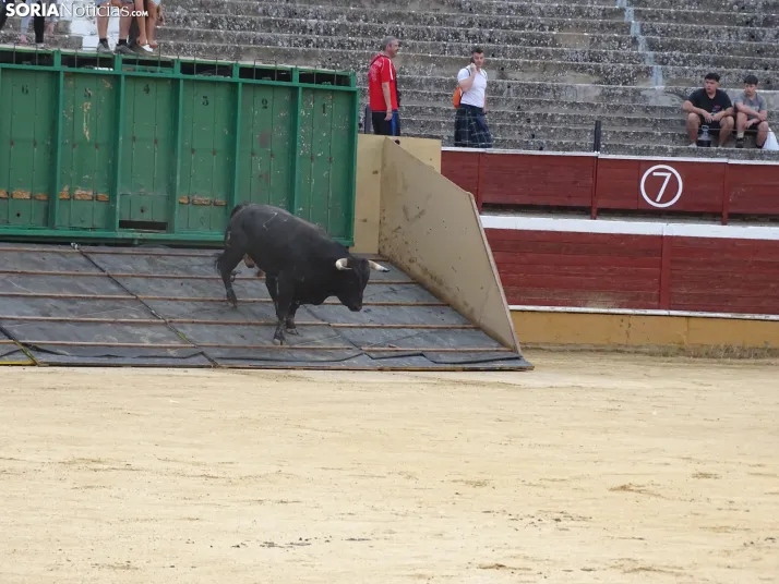Una imagen de la plaza de toros esta mañana de sábado. /PC