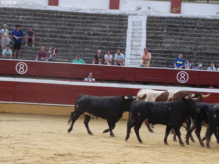 Una imagen de la plaza de toros esta mañana de sábado. /PC