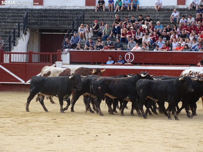 Una imagen de la plaza de toros esta mañana de sábado. /PC