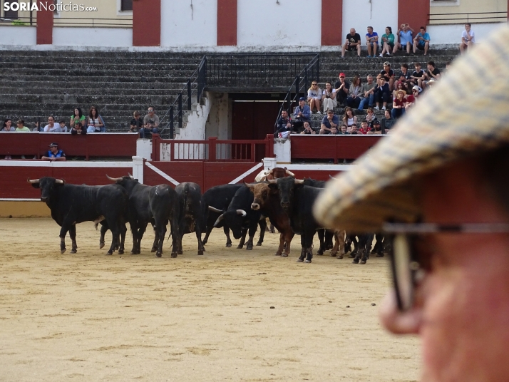Una imagen de la plaza de toros esta mañana de sábado. /PC