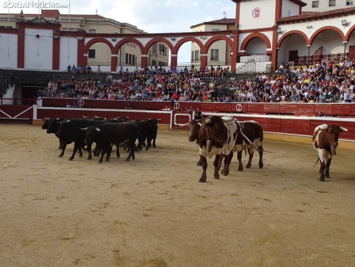 Una imagen de la plaza de toros esta mañana de sábado. /PC