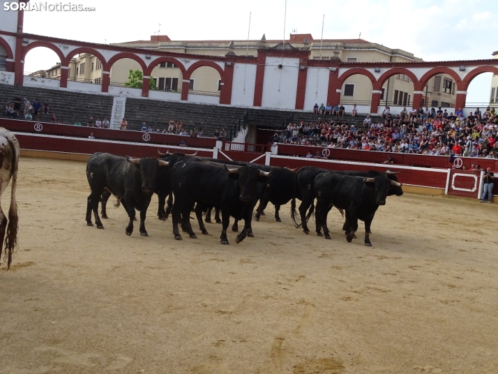 Una imagen de la plaza de toros esta mañana de sábado. /PC