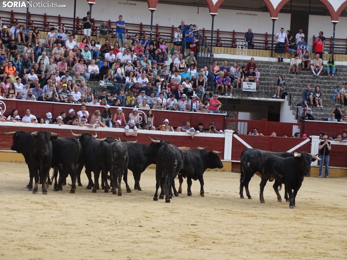 Una imagen de la plaza de toros esta mañana de sábado. /PC